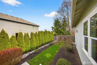 Private backyard with natural screening and fencing.