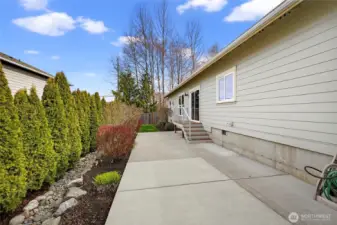 View of backyard space.