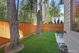 Brand new turf in the backyard