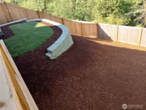 Backyard.