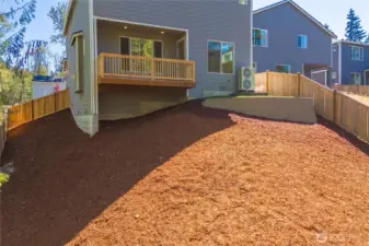 Backyard.