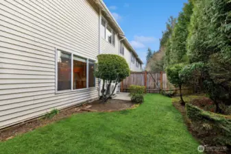 Fenced yard