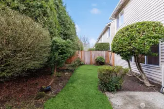 Fenced yard