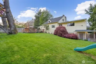 Backyard/ property