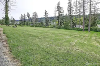 Established pasture