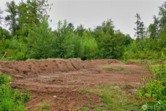 cleared for homesite