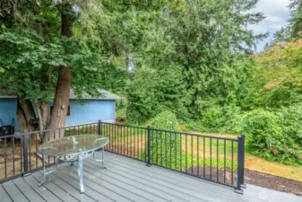 Trex deck!