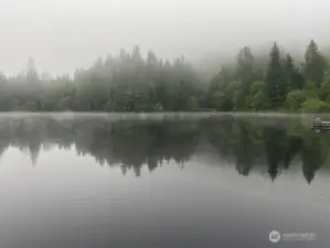 Lovely even in gloomy weather