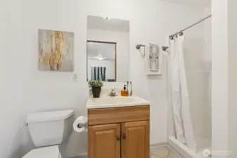 The lower level 3/4 bath with step-in shower also has a storage nook to the right of the photo.