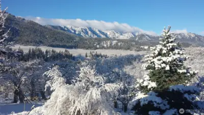 View from house in winter
