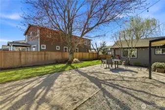 Sprawling backyard with privacy maple tree cover and large patio