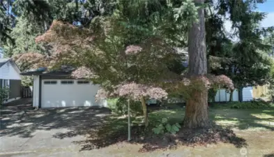 Fresh exterior pain on this private 1 1/2 story home that lives like a rambler.