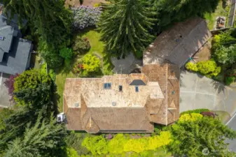 Ariel View