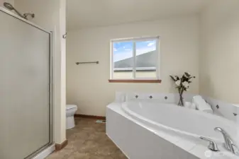 Soaking tub and shower