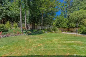 Large back yard