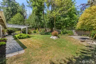 Back yard