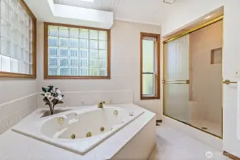 Jetted tub and large shower.