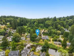 Bird’s-eye view showcases the expansive 17,000+ square foot lot. With water on one side and greenery all around, it’s a private paradise.