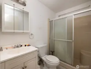 Hall bathroom.