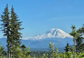 Mt Rainier from Tiger Mtn Trail, just a 5 minute walk