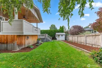 Backyard