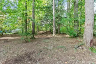 Well over 1/2 acre. Woods and sun - you get it all!