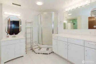 Lower-level bathroom featuring walk-in shower.