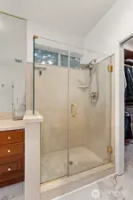 Primary Shower