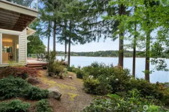 Peek-a-boo MT Rainier View