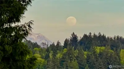 A peaceful, Private Life Starts Here...