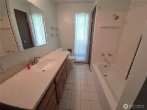 Large vanity, and linen closet on far right