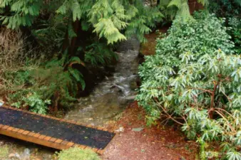 Bridge over creek,  view from the deck