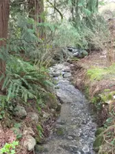 Seasonal Creek right behind the house