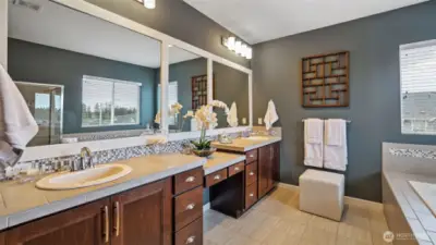 A different view of the primary bath showing how light and airy will feel.  There is also a large walk-in closet just as you enter the the bathroom.