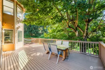 Deck made for entertaining or peaceful coffee sipping in the morning