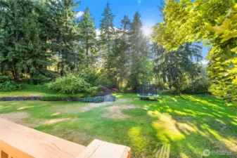 so much backyard