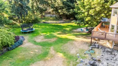 more backyard