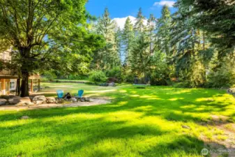 more backyard