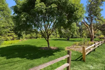 Located just across from Berntsen Park, this home enjoys access to a beautiful green space that will remain undeveloped, ensuring lasting tranquility and natural beauty. Picnic in the park, play with the dog, all of the above..