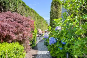 This lot is beautifully landscaped.