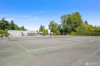 tennis courts with pickle ball lines as well