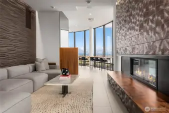 Indoor/outdoor fireplaces