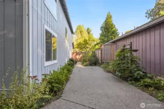 Side yard ...