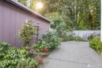 Easy care yard!