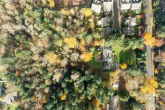 2.25 lush, wooded acres of privacy.