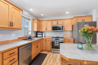 Brand new sink and faucet w/ garbage disposal.