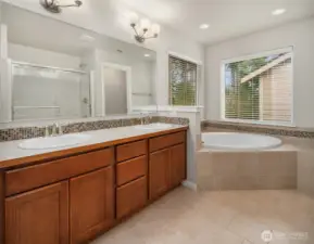 Primary bathroom with attached walk-in closet