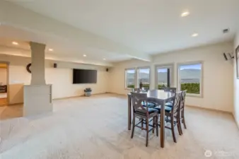 Downstairs Family Room