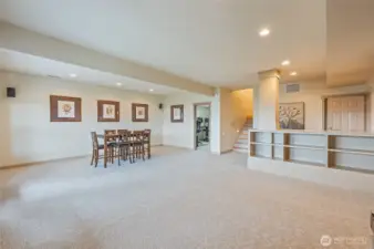 Downstairs Family Room