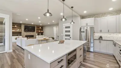 High end Thor appliances.